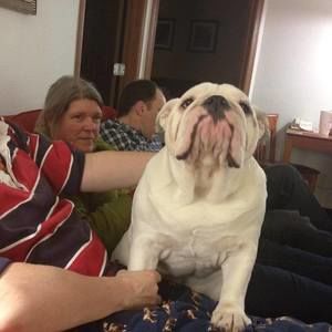 Meet your Posher, Christopher